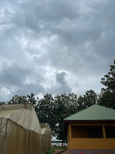 A view of some of our greenhouses and our Packhouse, where we clean, sort and grade our produce.